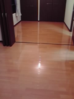 08-09-20_003.jpg