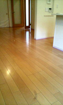 d1000023.JPG
