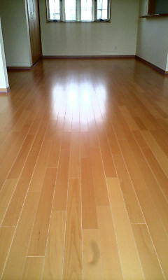 d1000027.JPG