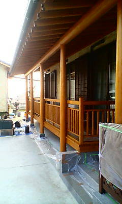 d1000156.JPG