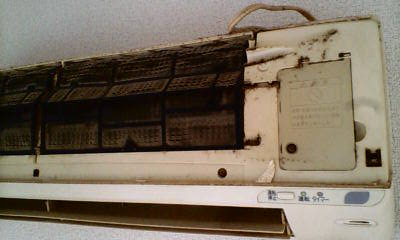 d1000211.JPG