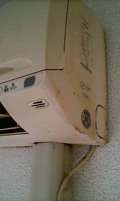 d1000212.JPG