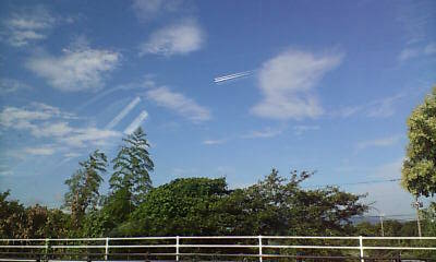 d1000218.JPG