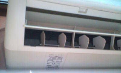 d1000336.JPG