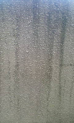 d1000346.JPG