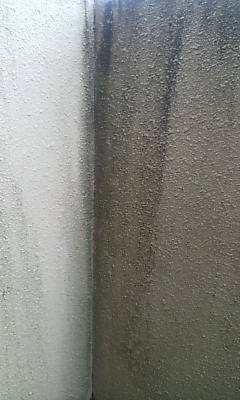 d1000347.JPG