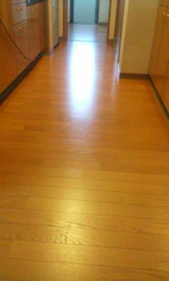 d1000549.JPG