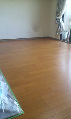 d10005550.JPG