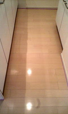 d1000597.JPG