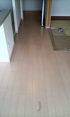 d1000600.JPG