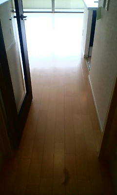 d1000602.JPG