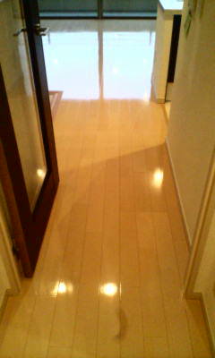 d1000603.JPG