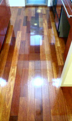 d1000608.JPG