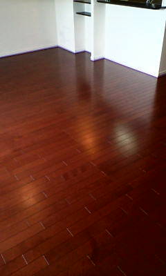 d1000620.JPG