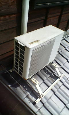 d1003333.JPG