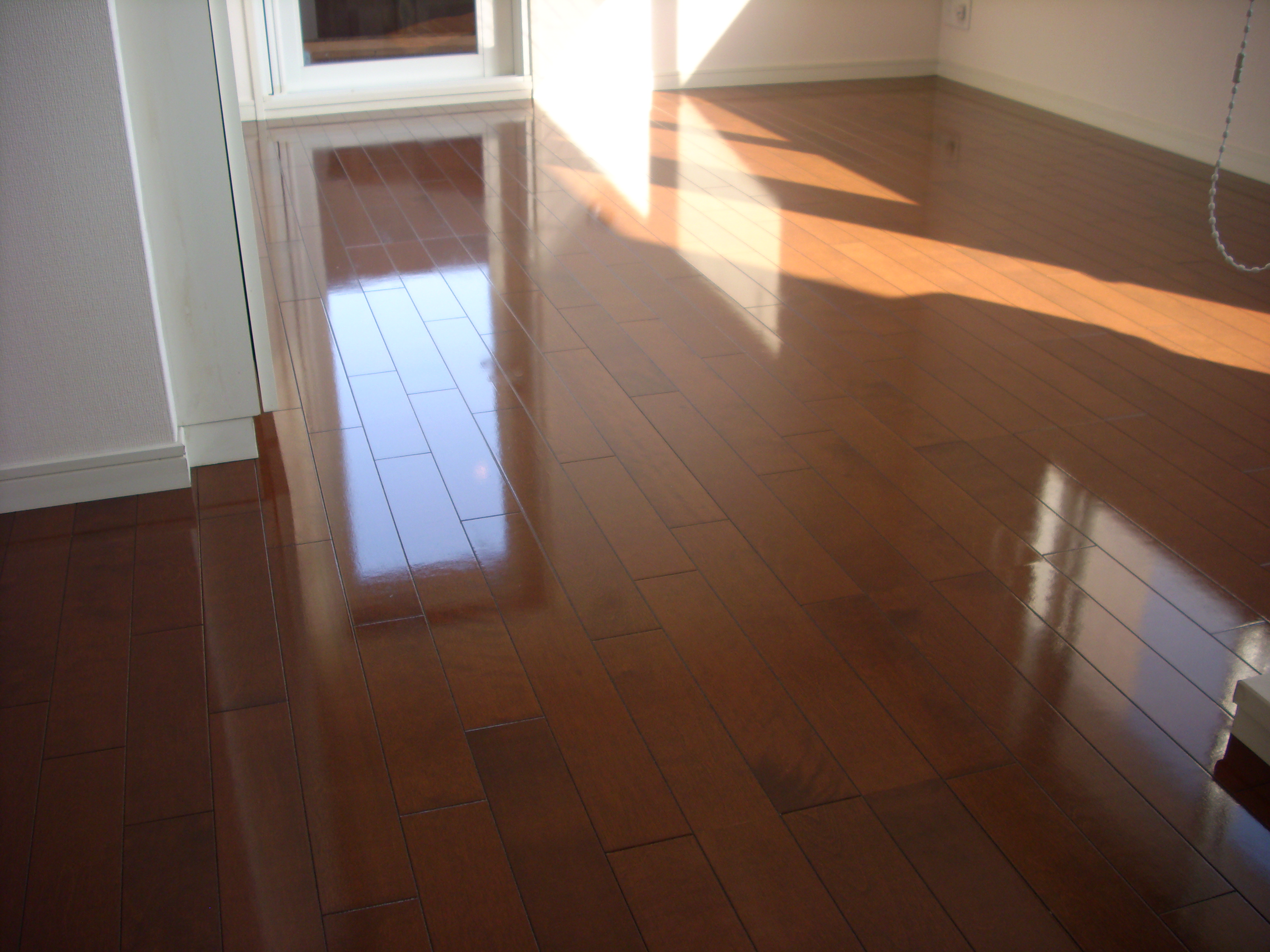 dsci0691.JPG