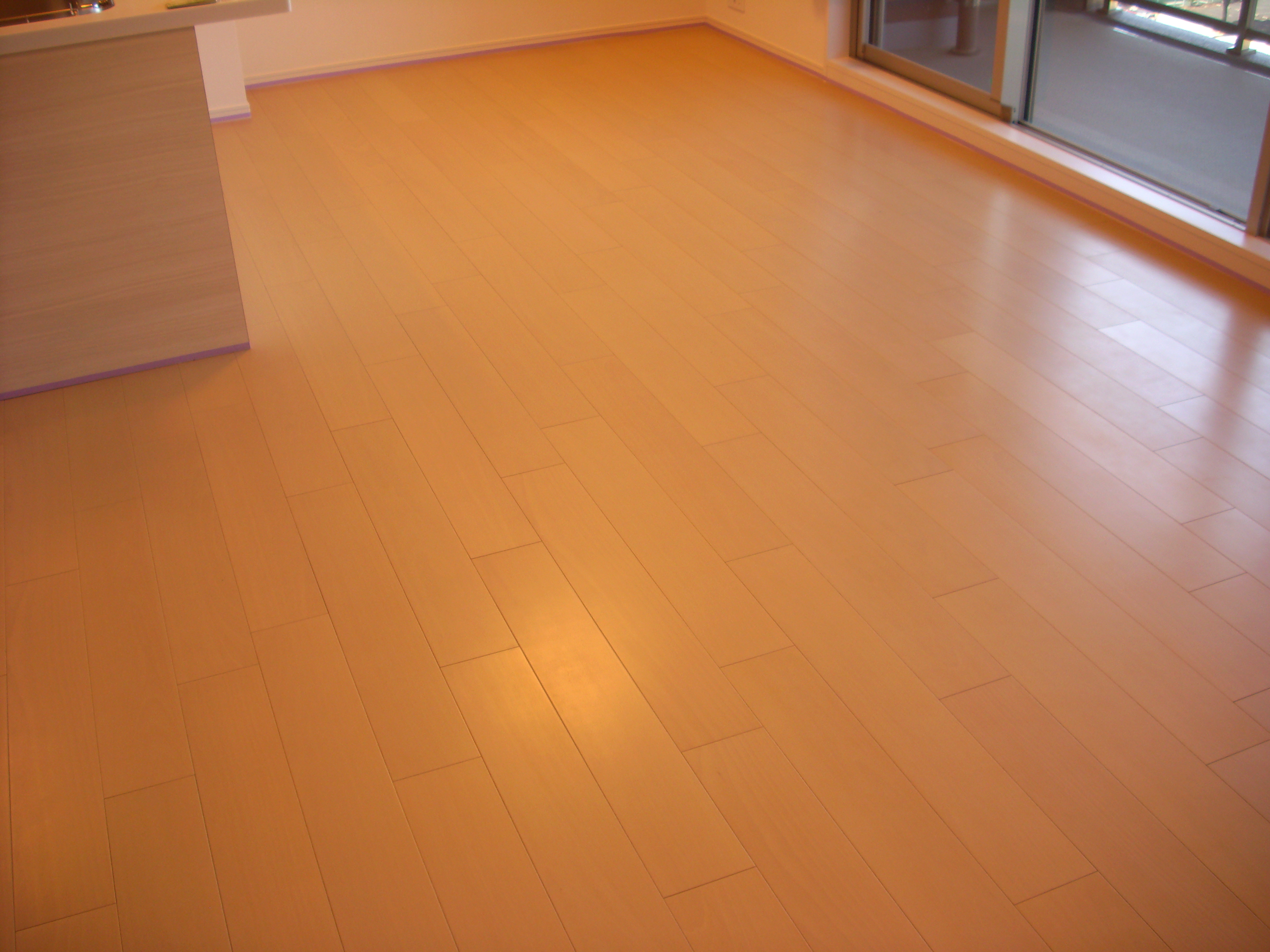 dsci0698.JPG