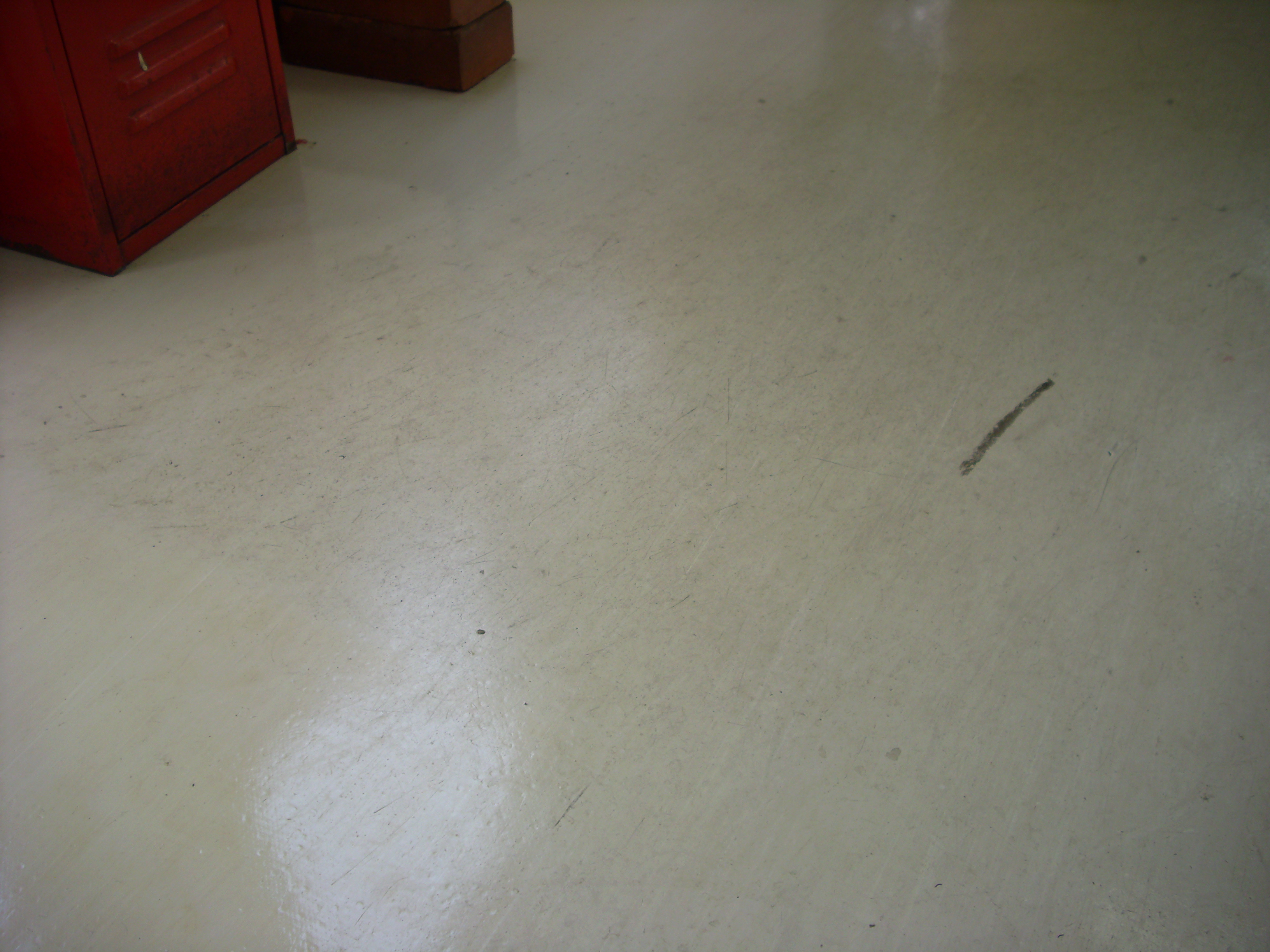 dsci0710.JPG