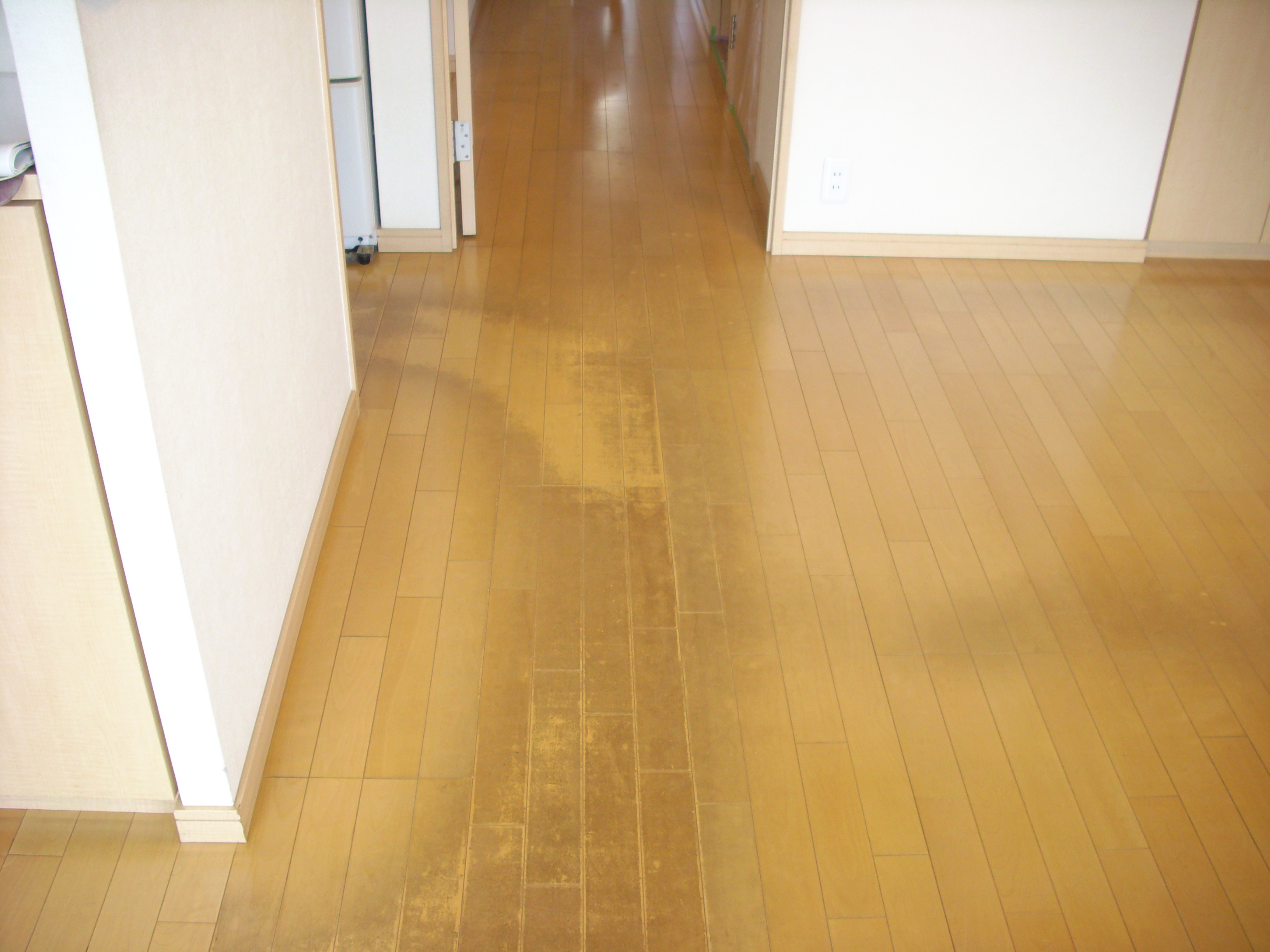 dsci0732.JPG