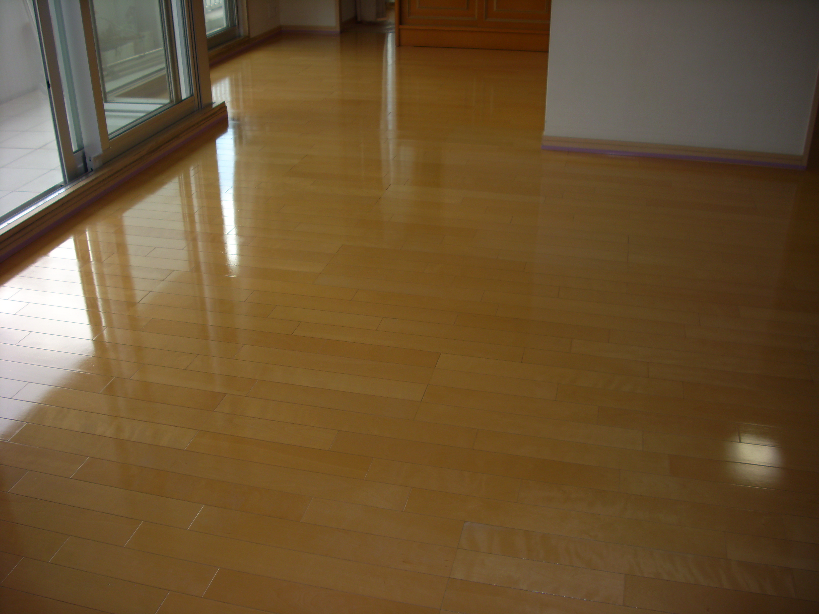 dsci0735.JPG