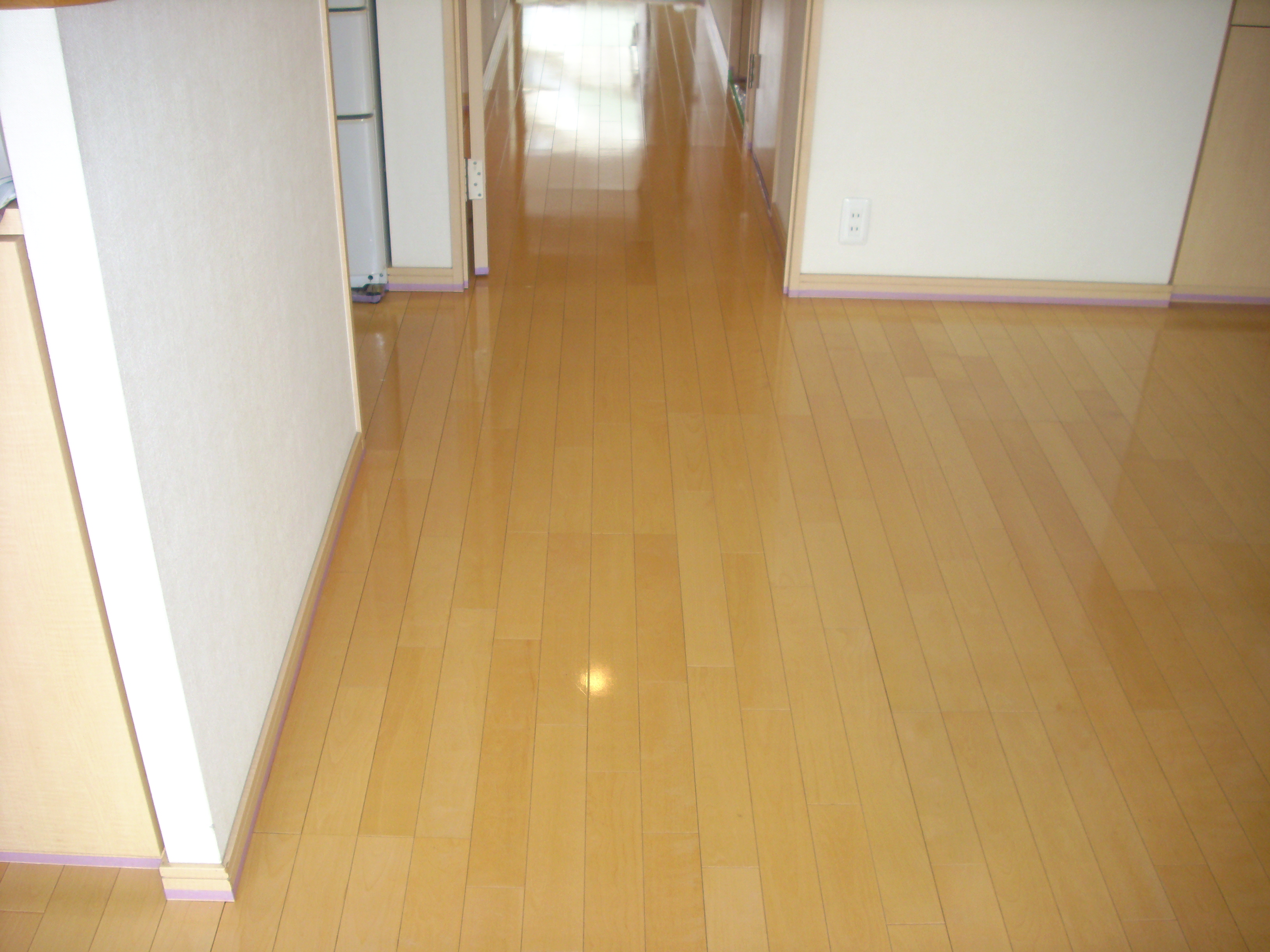 dsci0739.JPG