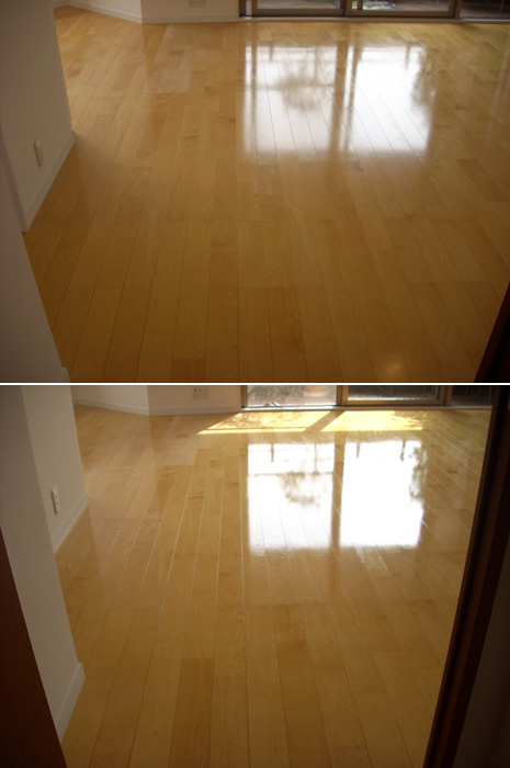 dscid12.jpg