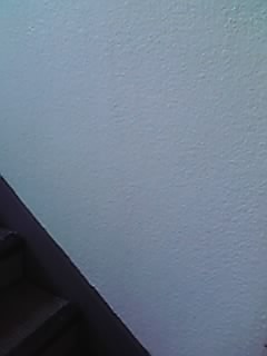 p1000050.JPG